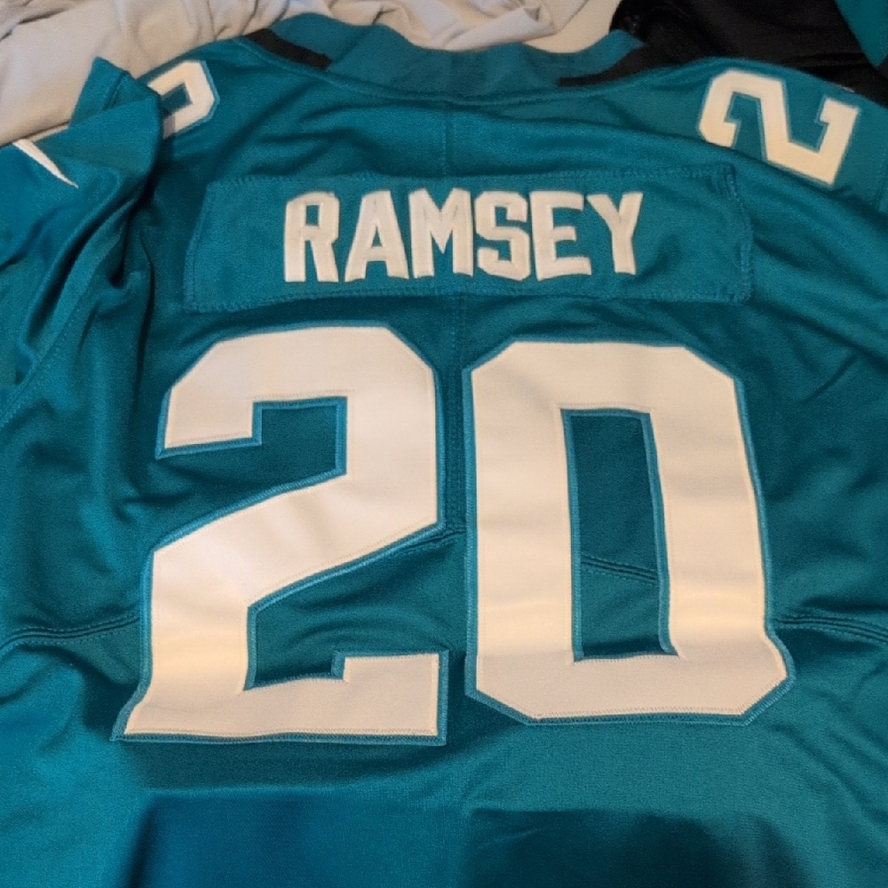 Nike Teal NFL Jersey